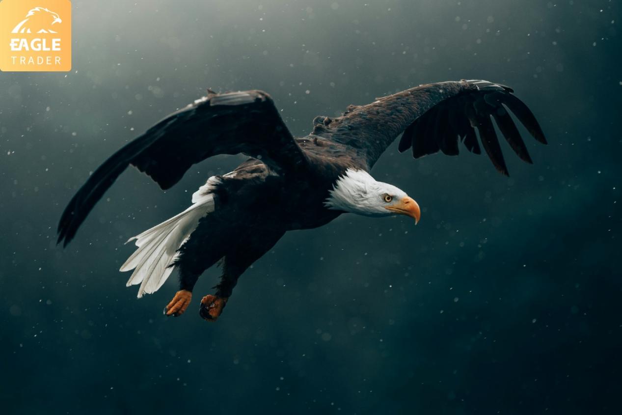 �Ϸʽ��׻ƽ�